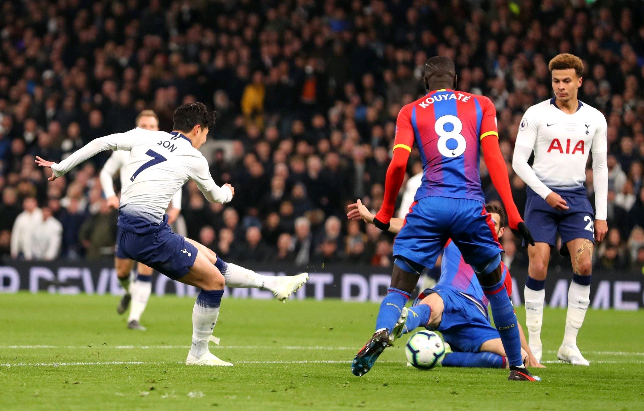 大胆启用新 大胆启用新